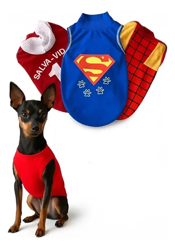 Roupa P/ Shitzu Roupinha Pet Primavera Pinscher Verão Tam.2